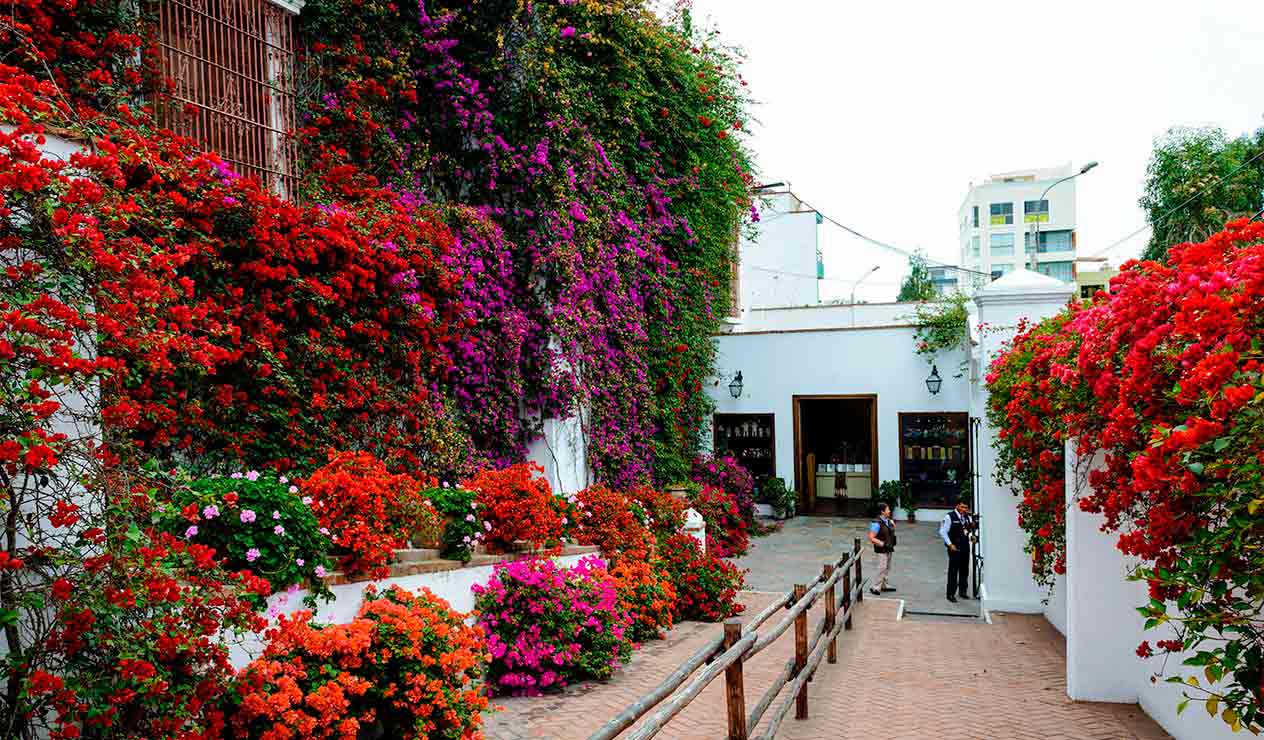 Museo Larco - Que Hacer en Lima